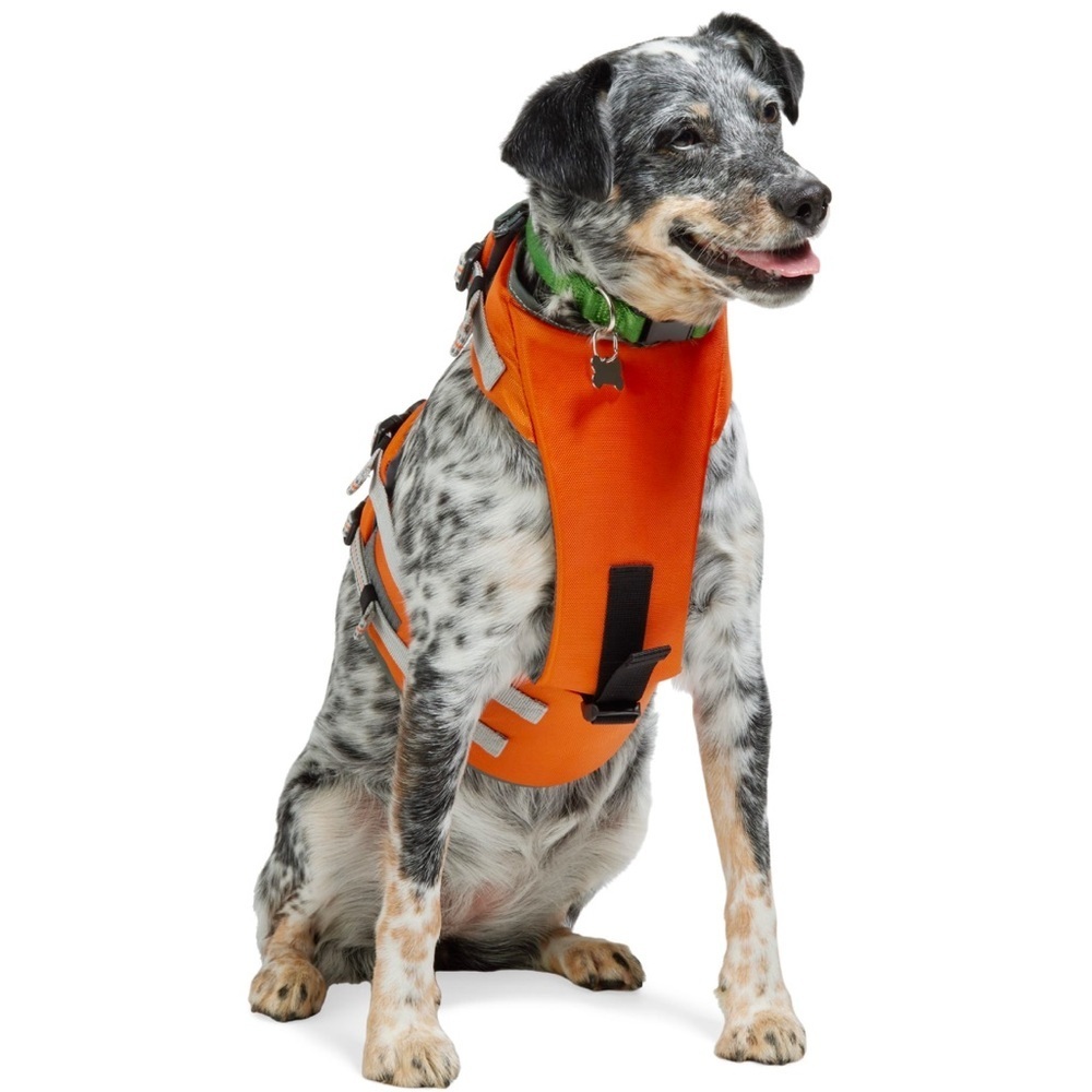 NWT dog life jacket floatation vest S